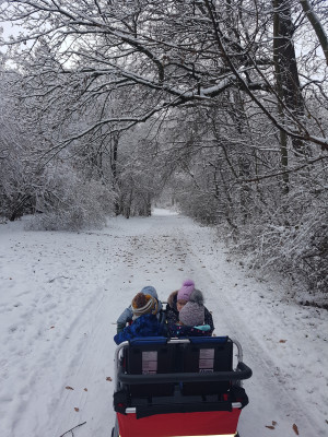 Winterspazierfahrt